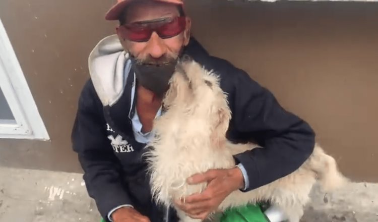 Abuelito invidente en Tampico recupera a su perro, tras varios días perdido