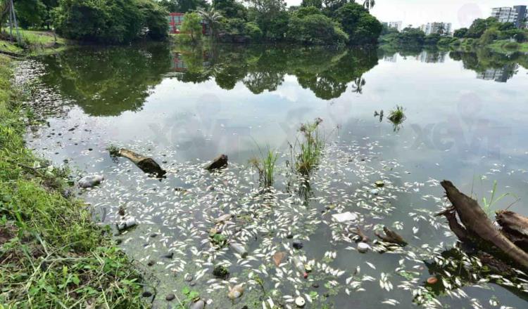 Denuncia Gaudiano ante Profepa contaminación y daño ambiental en laguna de Las Ilusiones