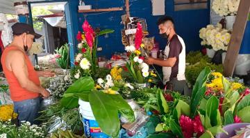 Reportan floristas altas expectativas de ventas por Día de Muertos ante tregua de COVID