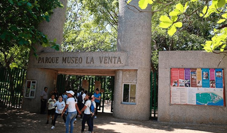 Rehabilitación del Museo La Venta costará alrededor de 30 mdp: Merino