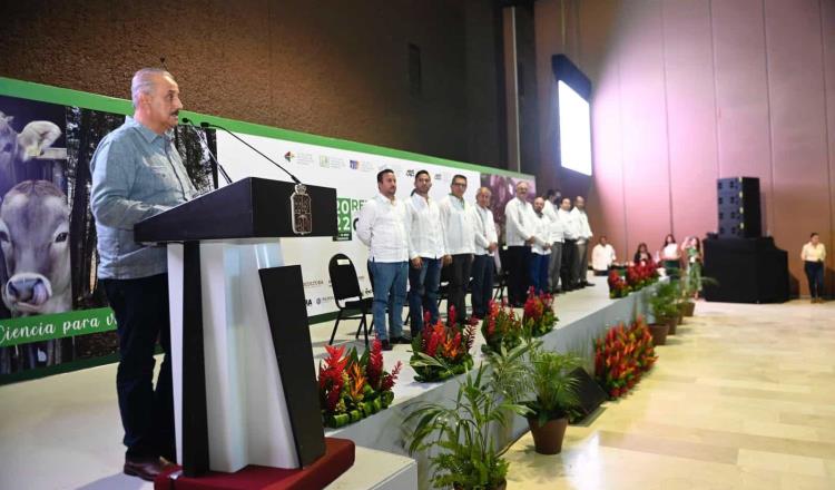 Tabasco se posiciona como uno de los líderes en plantaciones de teca, eucalipto, melina y hule: Gobernador