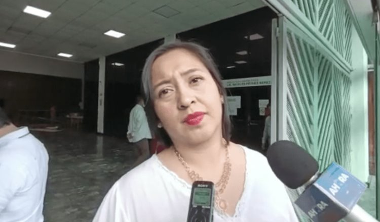 Sin importar cuál consejero, si cometió violencia contra la mujer debe ser sancionado: Diputada de Morena