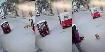 ¡Ahora fue al revés!, perro "atropella" a mototaxi