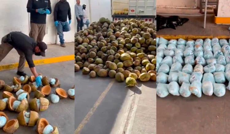 Hallan 300 kilos de fentanilo escondido dentro de cocos en Sonora