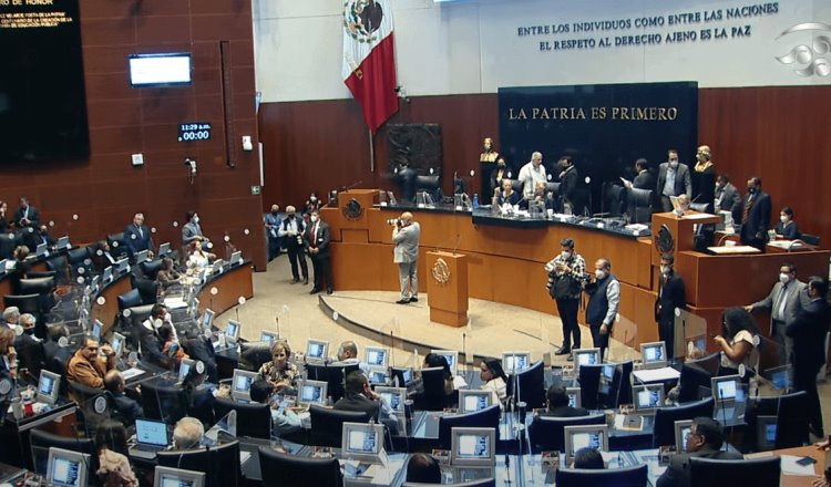 Rechaza Ovidio Peralta que plan B de AMLO se apruebe “fast track” en Senado