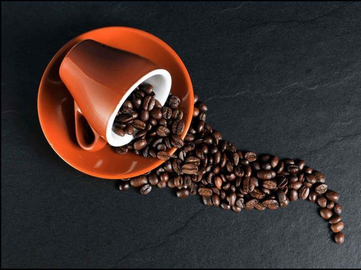 El mejor café de México es de Chiapas, según Cup of Excellence