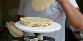 Súmale $1.50 pesos al kilo de tortilla a partir de marzo