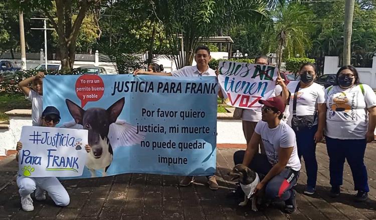 ¡Justicia por Frank! Convocan a marcha para pedir justicia por perrito asesinado en Centro