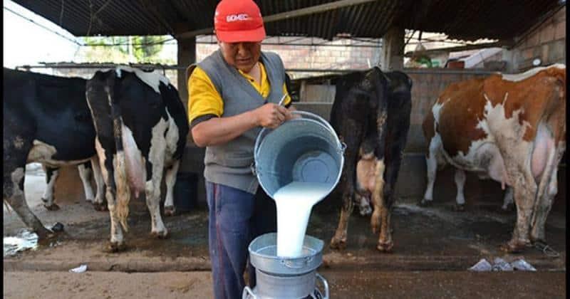 Centro de acopio de leche en Macuspana no está operando al 100%: Liconsa