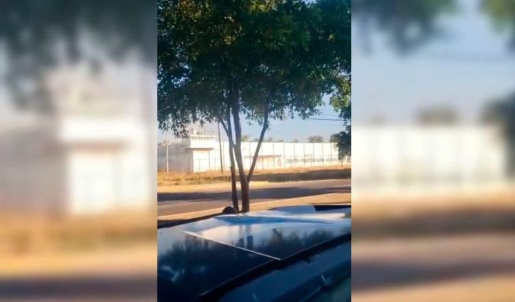 Hubo conato de fuga en penal de Culiacán: SSP de Sinaloa