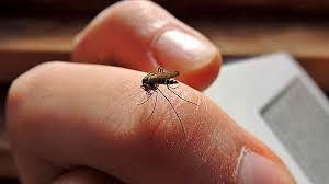 Por la mínima, Tabasco rompe récord de casos acumulados de dengue en 2022