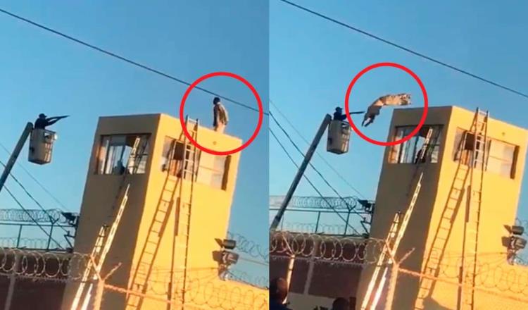 [Video] Se lanza reo desde torre de vigilancia del penal de Agua Prieta, Sonora