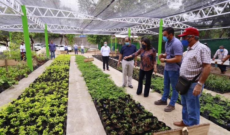 Habilita Centro vivero municipal ‘La Pólvora’, puede producir 5 mil plantas y árboles