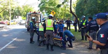 Atropellan a tránsito en Ruiz Cortines y detienen al conductor