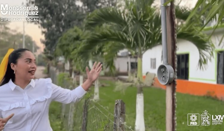 Acusan al Ayuntamiento de Comalcalco de instalar red eléctrica en varitas de coco