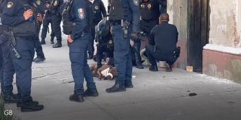 ¡Firulais N! Detienen a perro por morder a policía en la CDMX