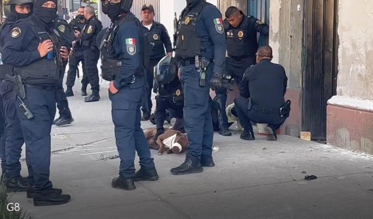 ¡Firulais N! Detienen a perro por morder a policía en la CDMX