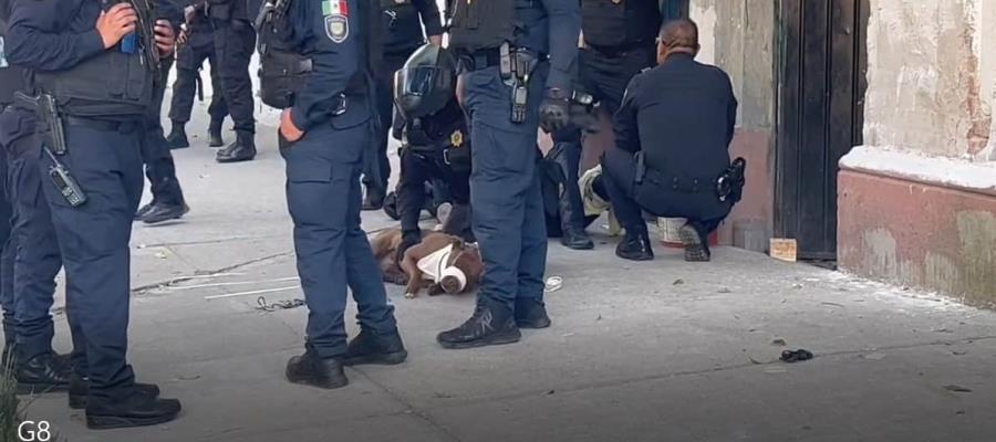 ¡Firulais N! Detienen a perro por morder a policía en la CDMX