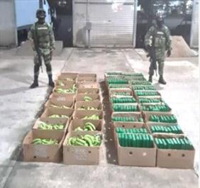 Hallan más de 200 kilos de cocaína escondidos en plátanos en Chiapas