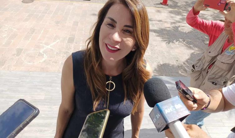 No hay nada novedoso en la plataforma “Méxicolectivo”: Soraya Pérez