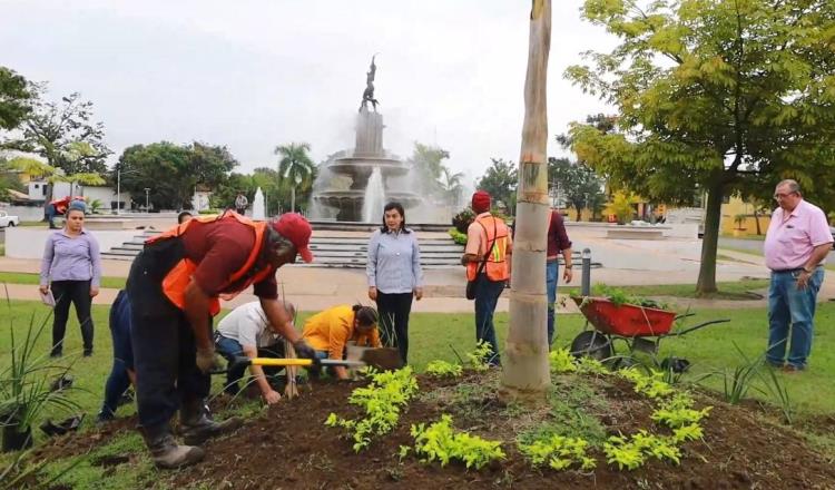 Arranca Centro reforestación de espacios públicos con plantas del vivero La Pólvora