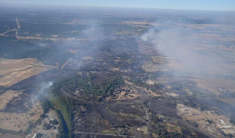 Incendios forestales dejan más de 22 muertos en Chile