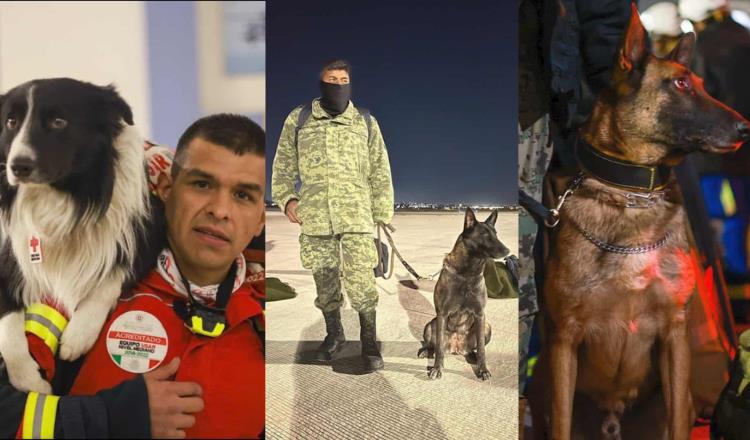 Este es el equipo de binomios caninos mexicanos que ayudarán en Turquía y Siria