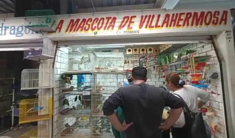 Debe Centro verificar que venta de aves exóticas en el ‘Pino Suárez’ sea legal: PVEM