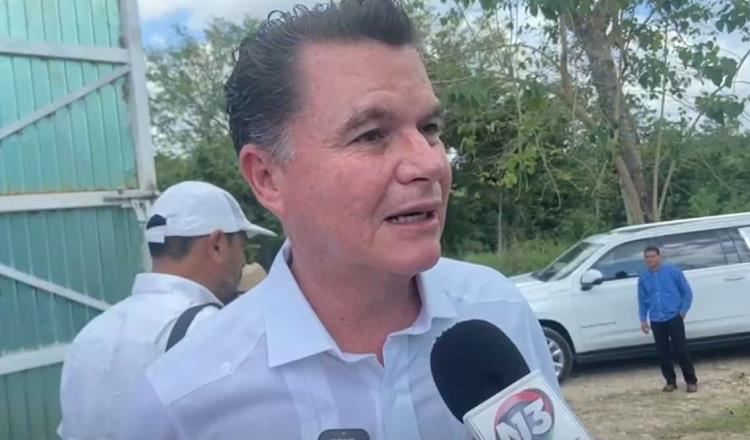 Reporta Sader baja de precios en venta de ganado en Tabasco