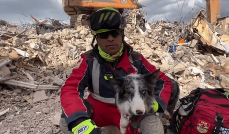 ¡Héroes en Turquía! Balam, perrito rescatista mexicano, salva a persona con vida