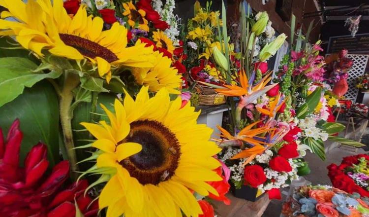 Garantiza Sader abasto de flores ornamentales para el 14 de febrero