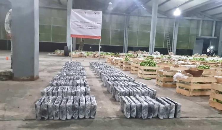 ¡Otra vez! Encuentran más de 250 kilos de cocaína escondidos en plátanos en Chiapas