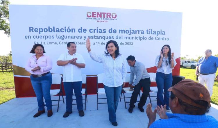 Inicia gobierno de Centro programa de repoblación de crías de mojarra Tilapia en zona yokot’an