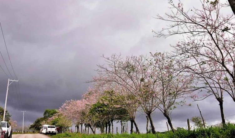 Continuará potencial de lluvias nocturnas en Tabasco: Conagua