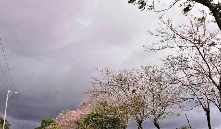 Disminuye potencial de lluvias en Tabasco, tras paso del frente frío 33: Conagua