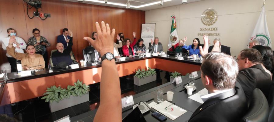 Avalan en comisiones del Senado Plan B de la reforma electoral