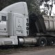 Rapiñan tráiler que volcó cargado de verduras en Veracruz