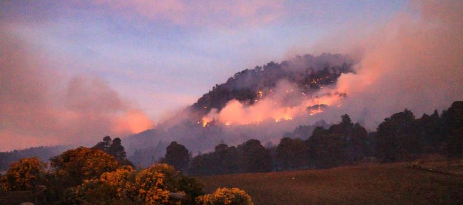 Arde el Pico de Orizaba; se queman 50 hectáreas