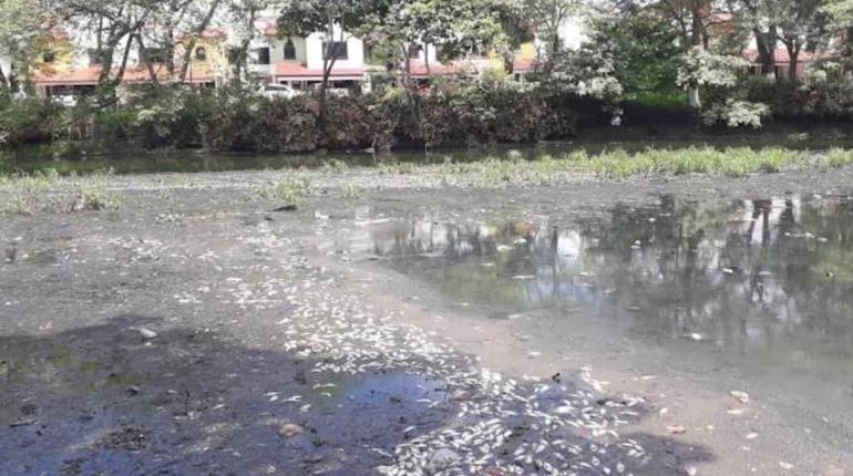 Limpieza de Vaso Cencali la harán Bienestar y Conagua, precisa Ayuntamiento de Centro