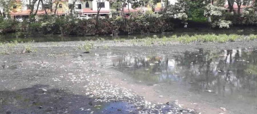 Limpieza de Vaso Cencali la harán Bienestar y Conagua, precisa Ayuntamiento de Centro