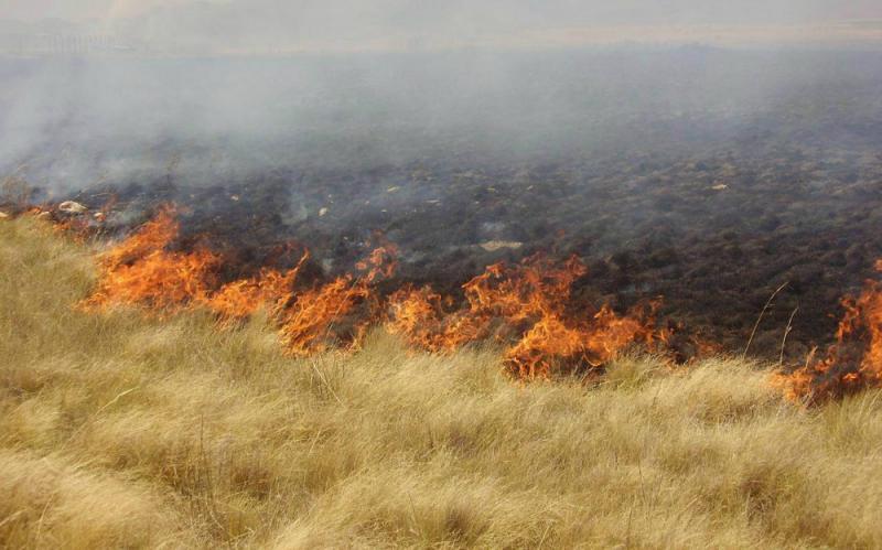 Pide IPCE precaución a productores agropecuarios con quemas en terrenos