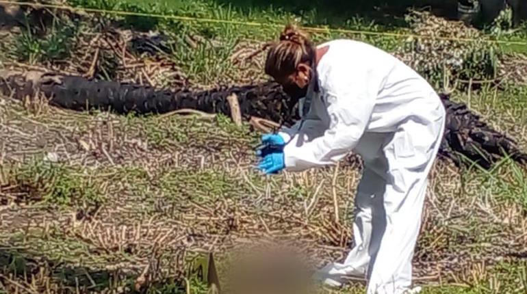 Encuentran cabeza humana en Acachapan y Colmena