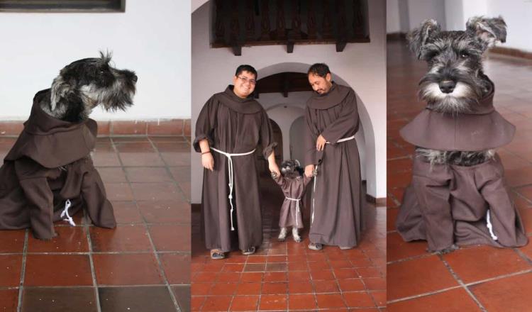 Schnauzer vestido de monje se vuelve tendencia; se llama Fray Carmelo y vive en Bolivia
