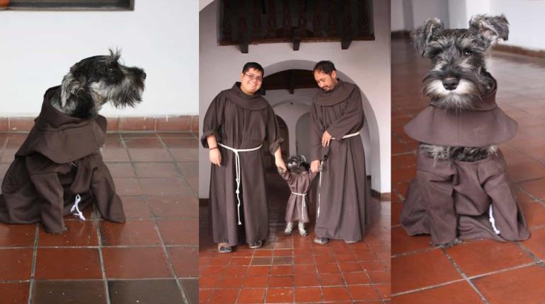 Schnauzer vestido de monje se vuelve tendencia; se llama Fray Carmelo y vive en Bolivia