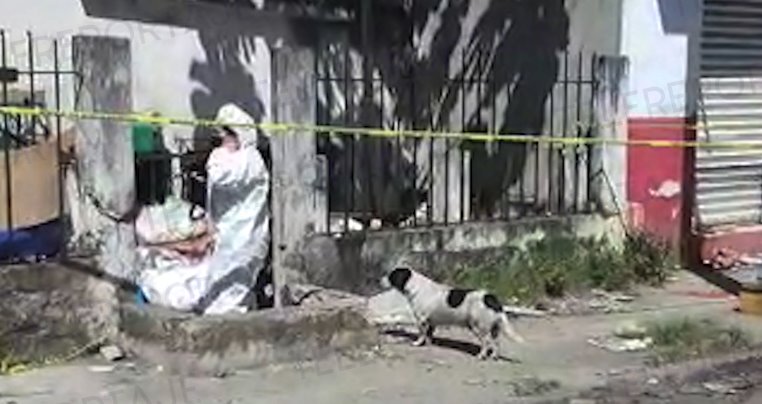 Perrito cuida el cuerpo de su dueño; fue asesinado en la Guadalupe Borja