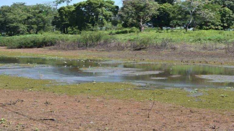 Espera la UNAM 3 meses de intensa sequía en el centro y norte del país