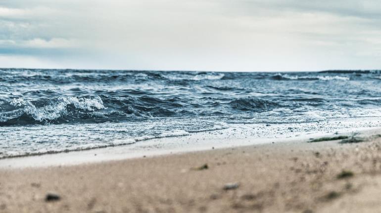 Por avistamiento de tiburón, restringen ingreso a playa en Tapachula, Chiapas 