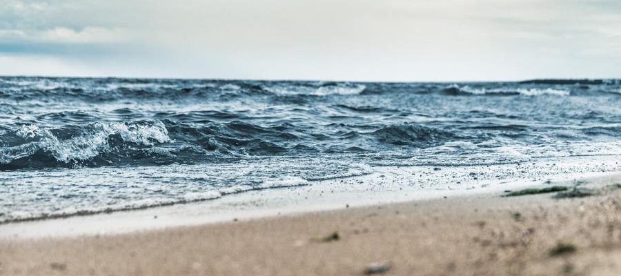 Por avistamiento de tiburón, restringen ingreso a playa en Tapachula, Chiapas 