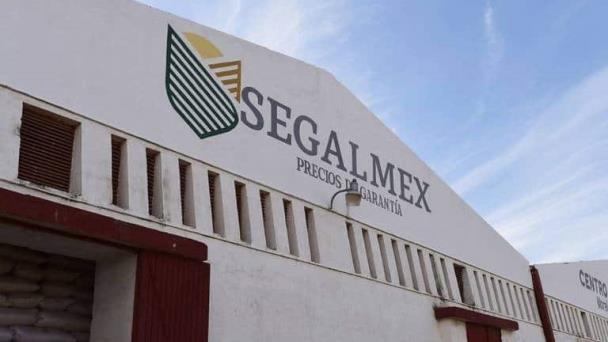 Vinculan a proceso a ex administrativo de Servicios Integrales Carregin por caso Segalmex