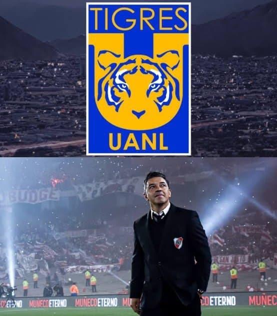 Marcelo Gallardo, cerca de llegar al banquillo de Tigres; pide 6 mdd por temporada